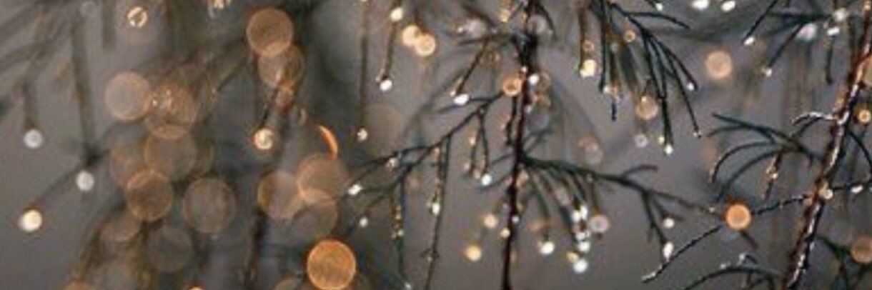 23_ree's profile banner image