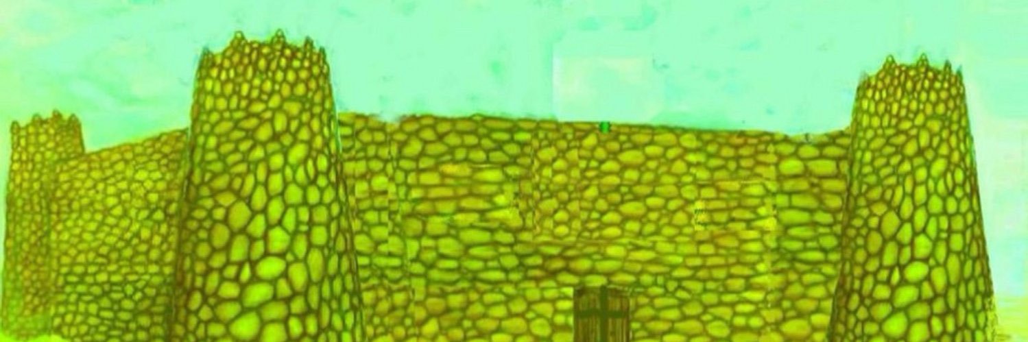 asslmhrb's profile banner image