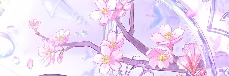 dani 𓂃 ࣪˖ ִֶָ𐀔 banner