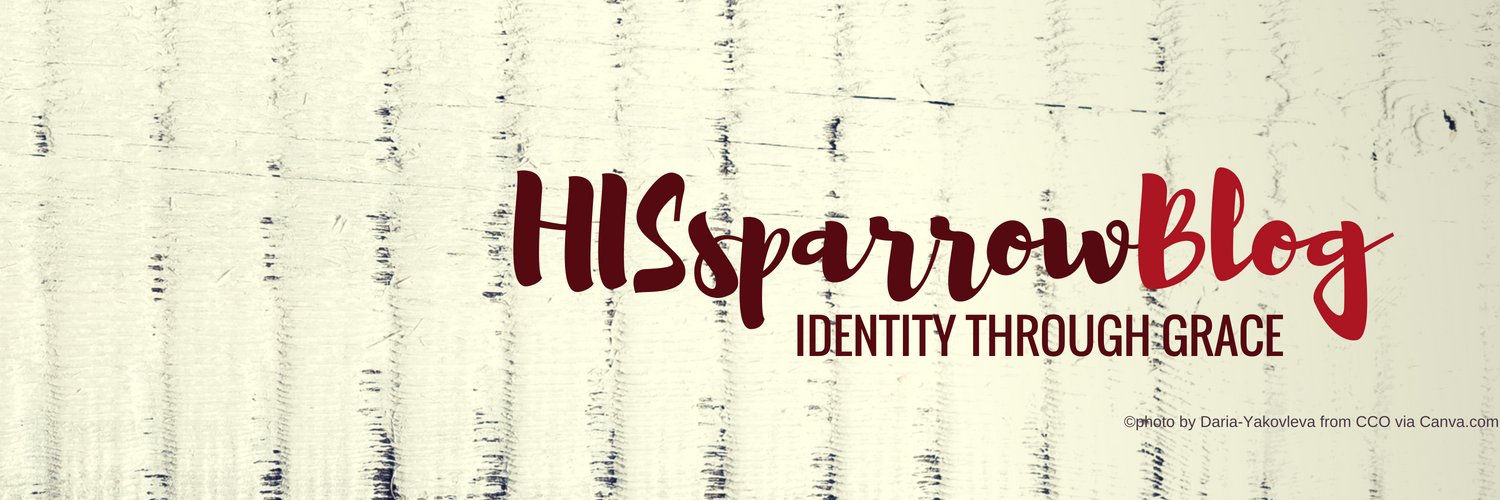 HISsparrowBlog's profile banner image
