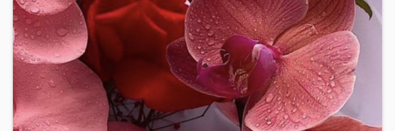 roesmos's profile banner image