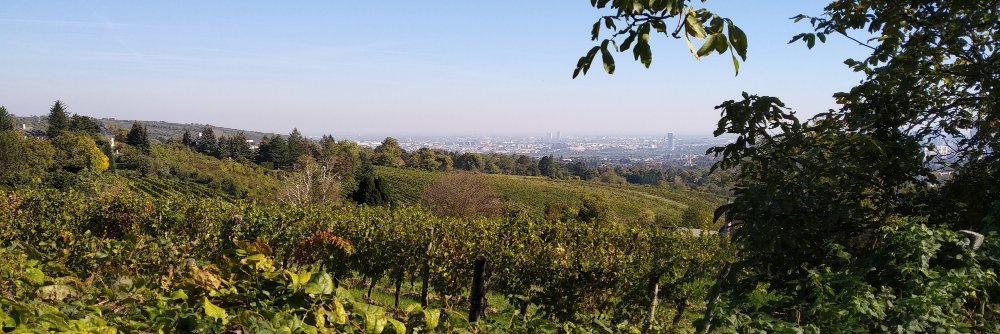 Wolfgang Hribernik banner