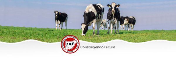 _splf Profile Banner