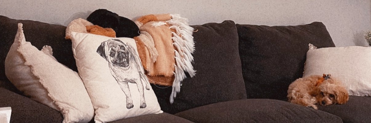 sami_thermee's profile banner image