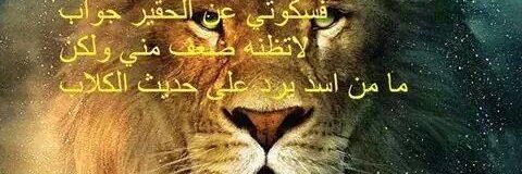 asad salih banner