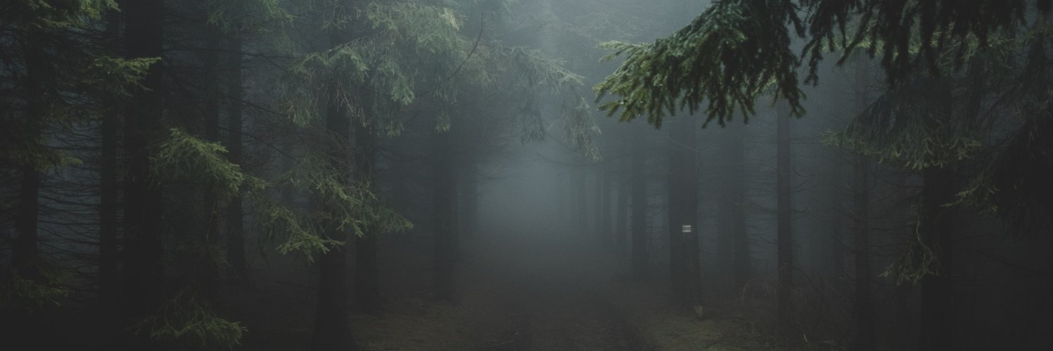 CryptidsLanding's profile banner image