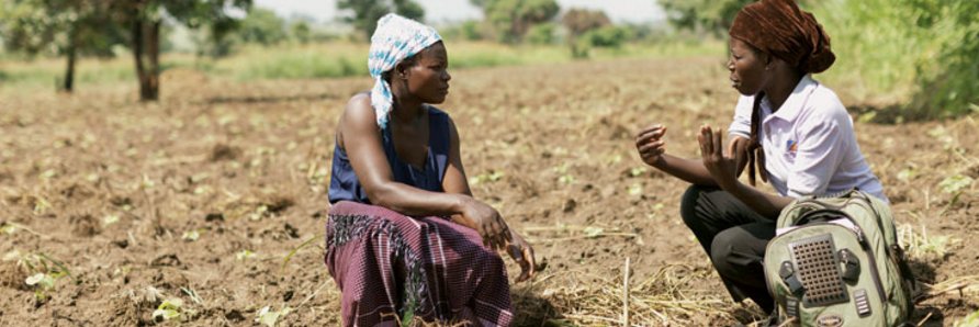 AIAEE Connect banner