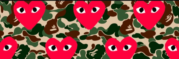 Real_Fly_Guy02's profile banner image
