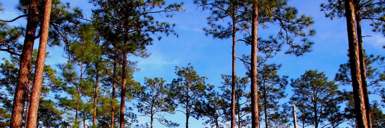 John Lindsey banner