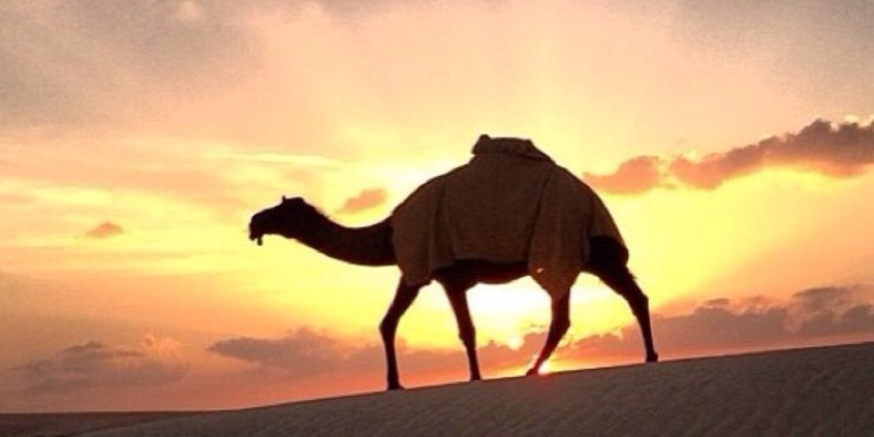Mohamed Almazrouei banner