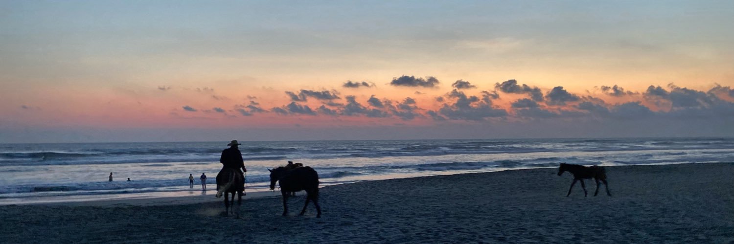 Alejandro Cedillo banner