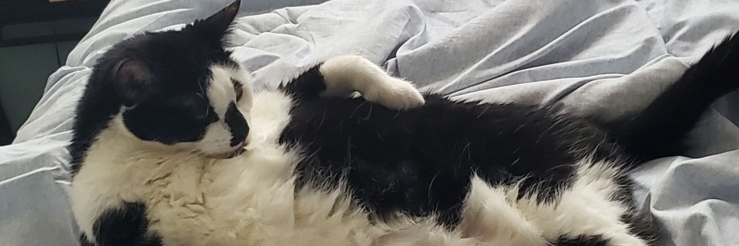 JulieSwaney's profile banner image