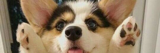 _cherryllyn's profile banner image