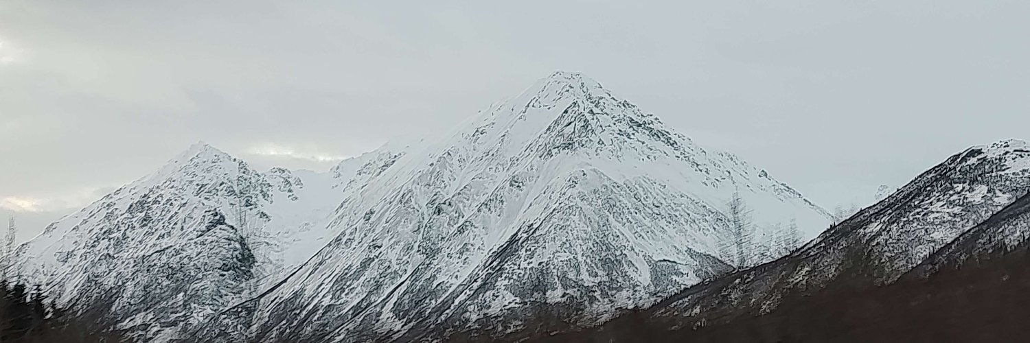 Dustin Saltzman banner