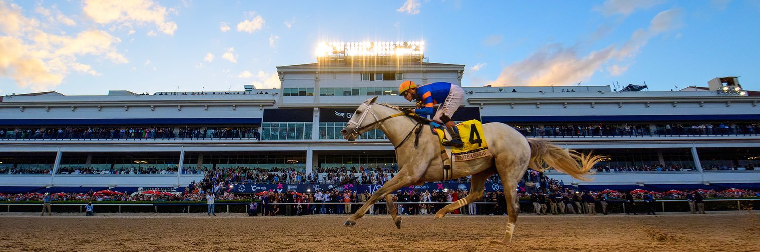 Pegasus World Cup banner