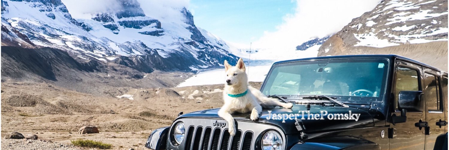JasperThePomsky's profile banner image