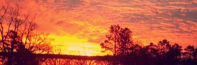 KnudsonKristi's profile banner image
