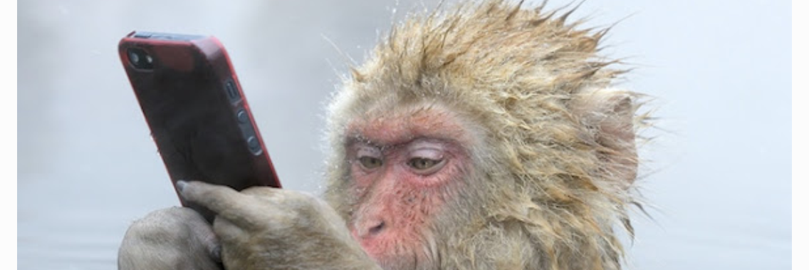 clsnyder's profile banner image