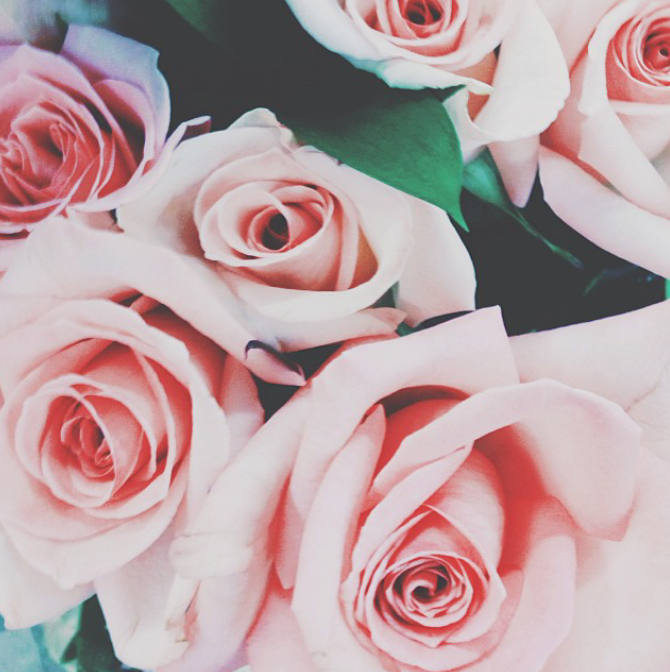 Princess_Megans's profile banner image