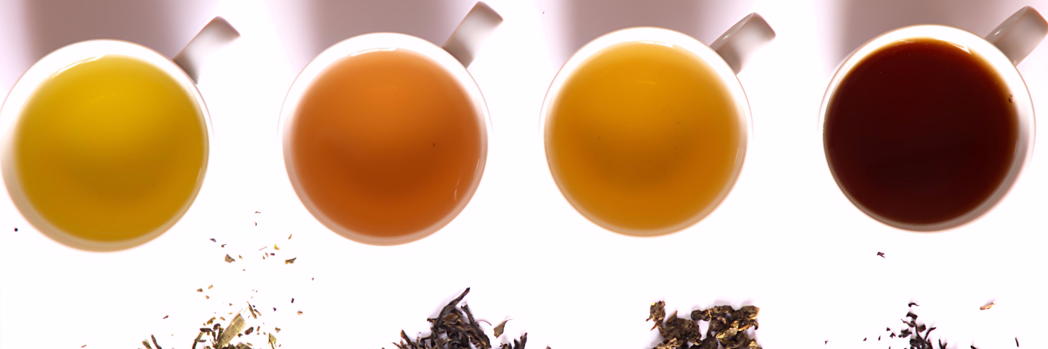 PBFY Tea banner