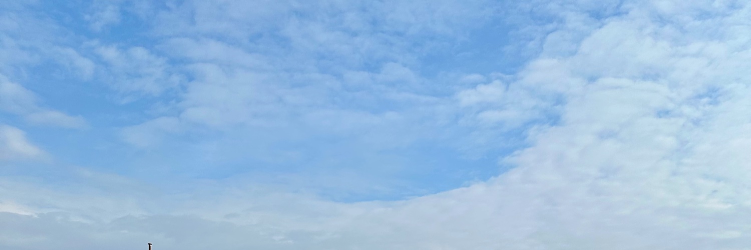 Giovanni Ferrari banner