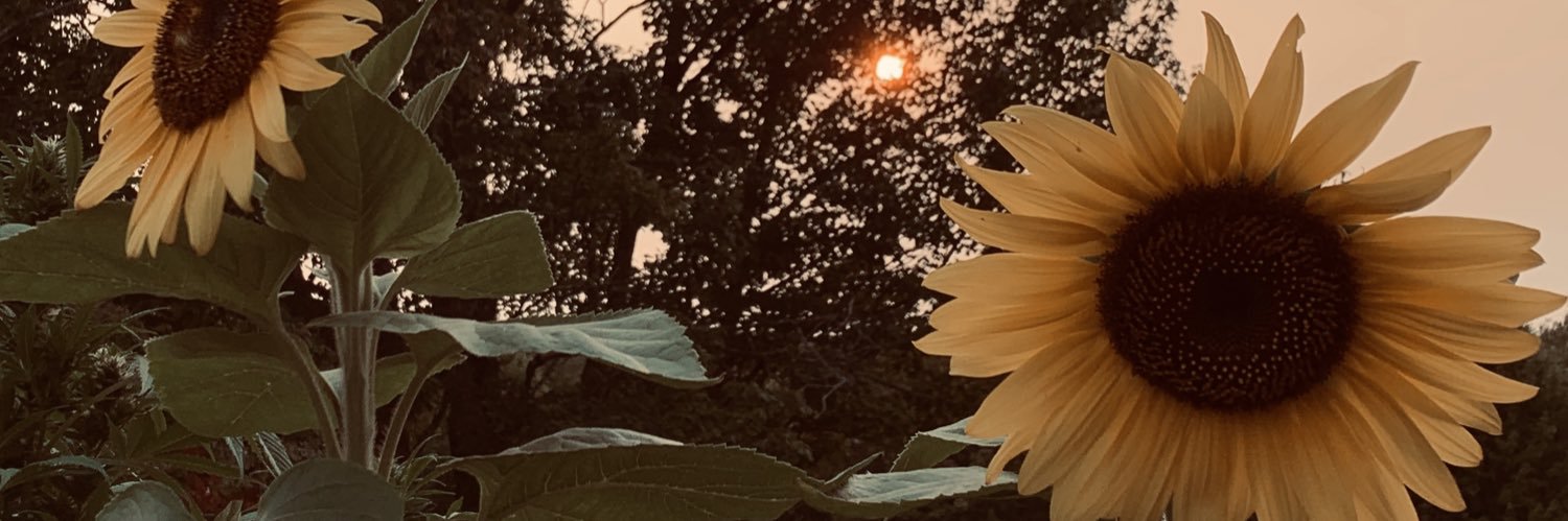 a3m_10's profile banner image