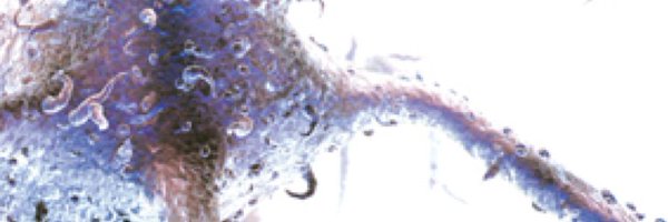 adamlacyhulbert Profile Banner