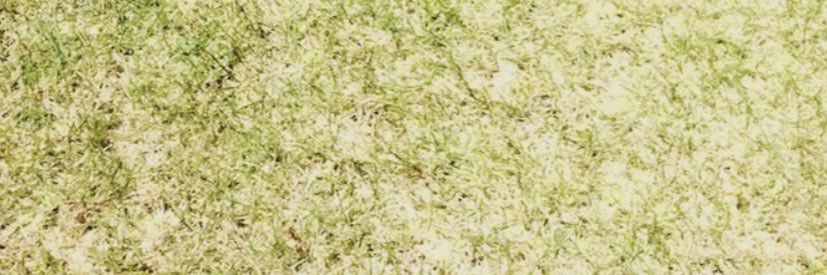 occhim's profile banner image
