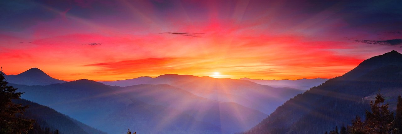 vendesia's profile banner image