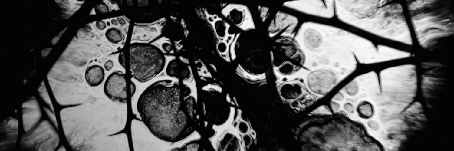 fleshymachine's profile banner image