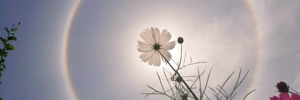prazie's profile banner image