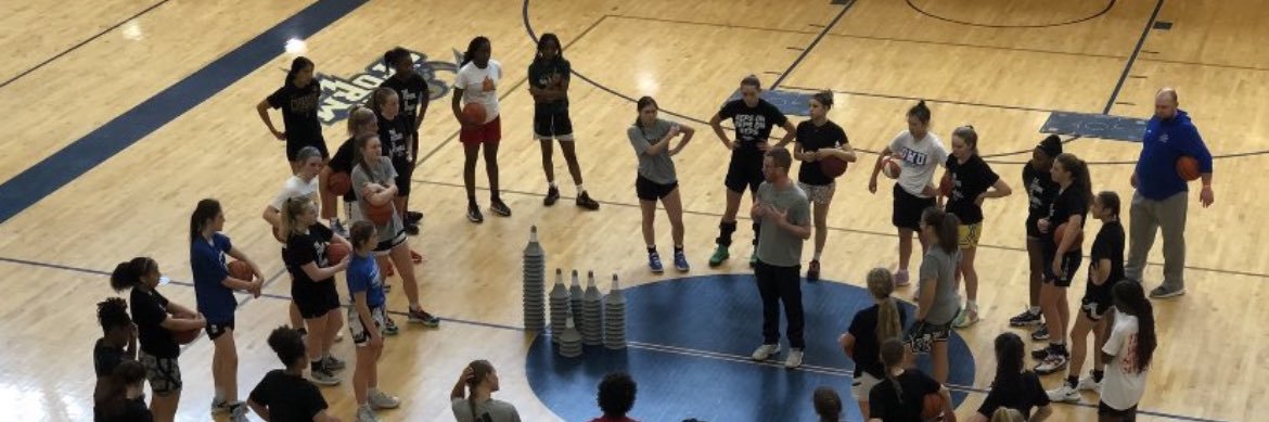 Hested Hoops Skills Training banner