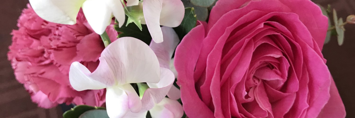 chiele_mon's profile banner image