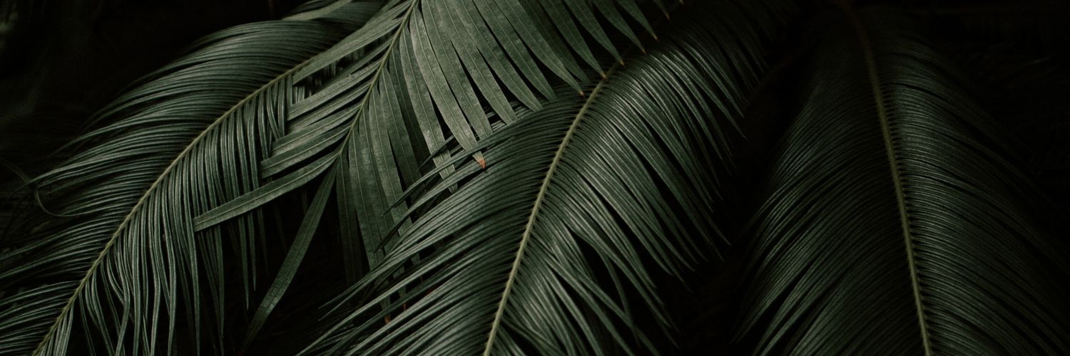 robertbetoXD's profile banner image