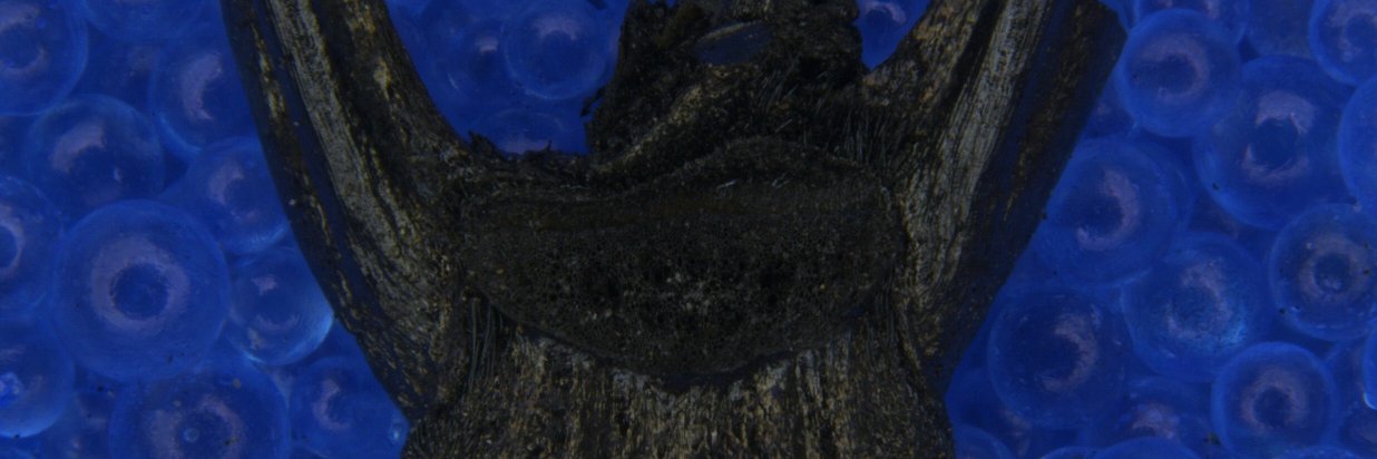 Michael Wallace 🚀 banner