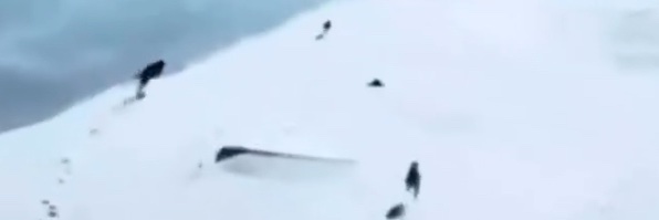 JustAnother1 banner