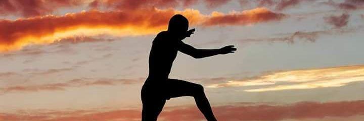 The Whistleblower banner