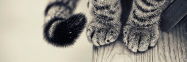 bhighup's profile banner image