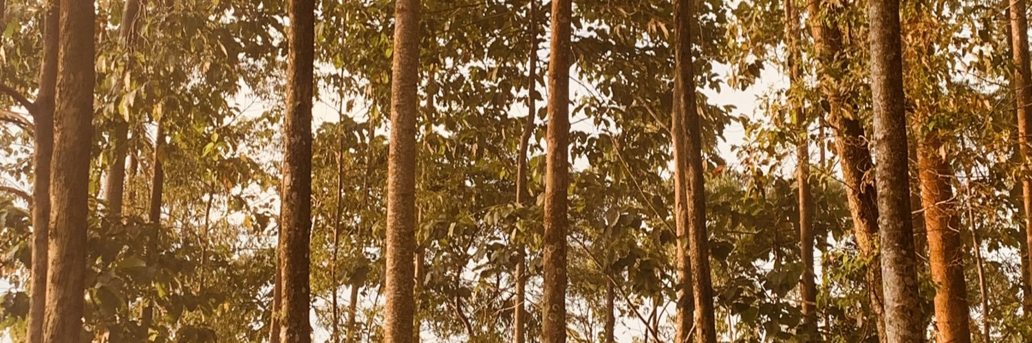 evertv_'s profile banner image