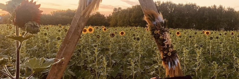 Jadyn2018's profile banner image