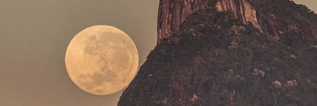 sbianko1's profile banner image