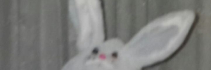 CruCarol's profile banner image