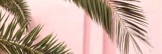 cxaavier's profile banner image