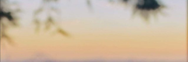 roza_bo's profile banner image