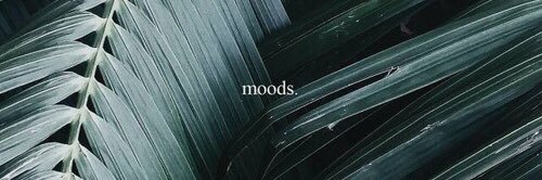 Elba O’Ward banner