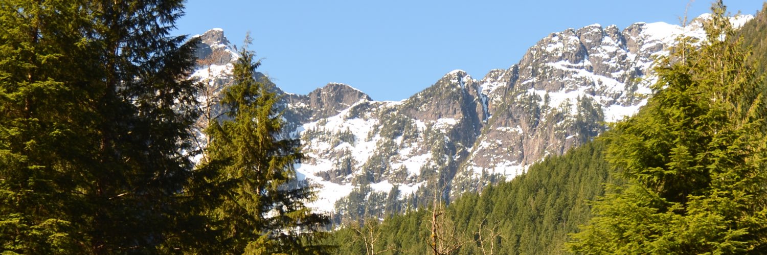 cheifbigcheif's profile banner image