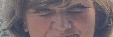 geridog's profile banner image