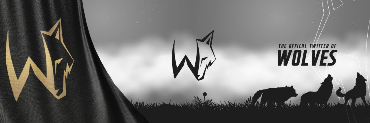 WOLVES FC banner