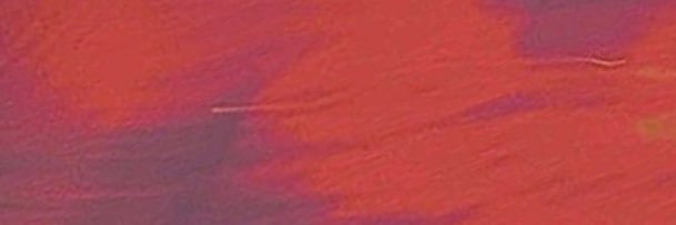 nihilboa's profile banner image