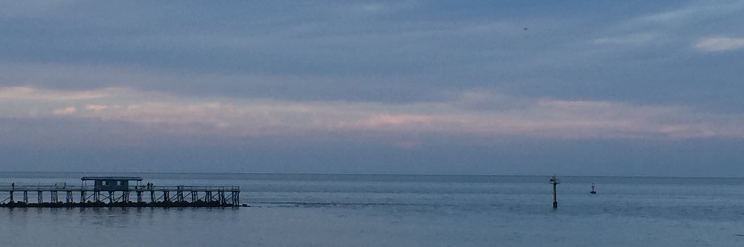 druida banner